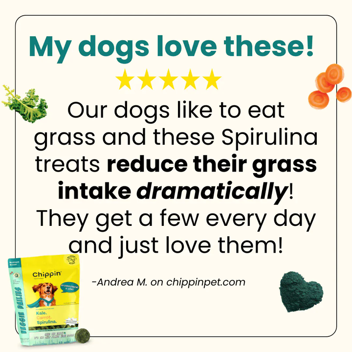 Chippin Allergy-Friendly Dog Treats, 6-Pack