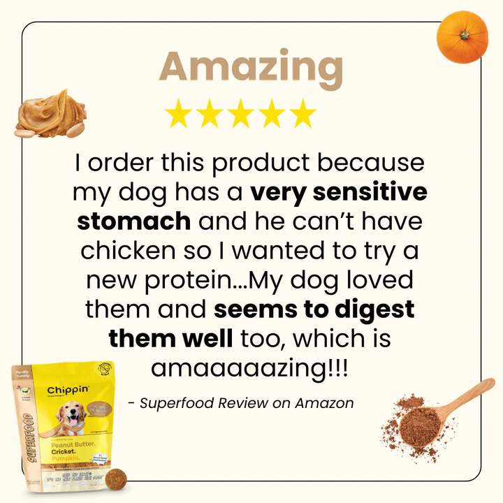 Chippin Allergy-Friendly Dog Treats, 6-Pack