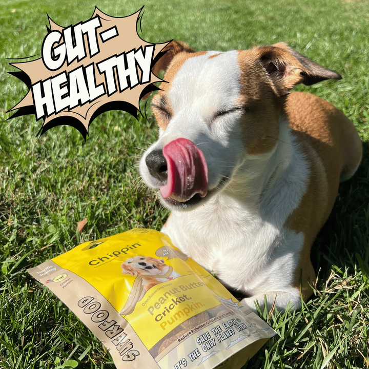 Chippin Allergy-Friendly Dog Treats, 6-Pack