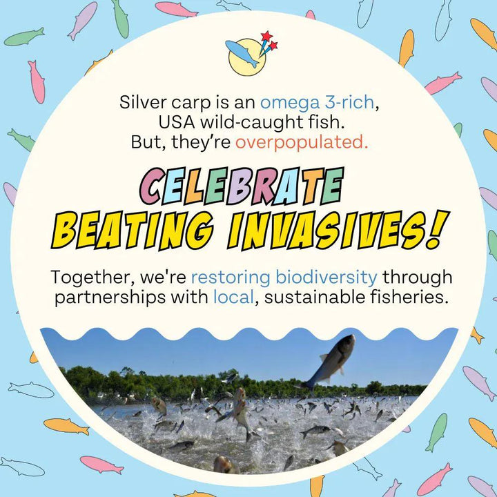 Chippin Birthday Dog Treats, 2-Pack