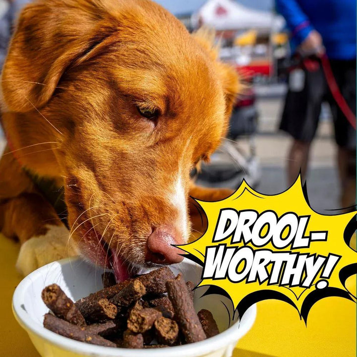 Chippin Birthday Dog Treats, 2-Pack