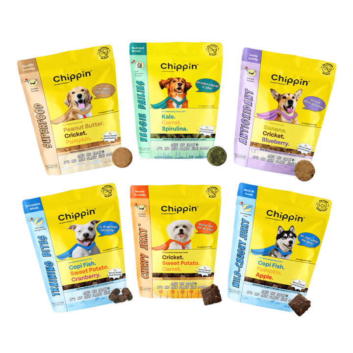 Chippin Complete Variety Bundle