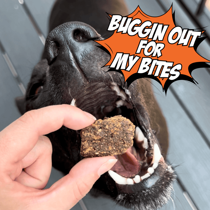 Chippin Cricket & Sweet Potato Jerky Dog Treats, 2 Pack
