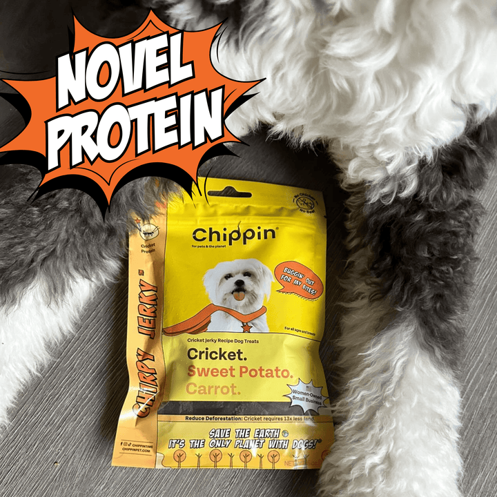 Chippin Cricket & Sweet Potato Jerky Dog Treats, 2 Pack