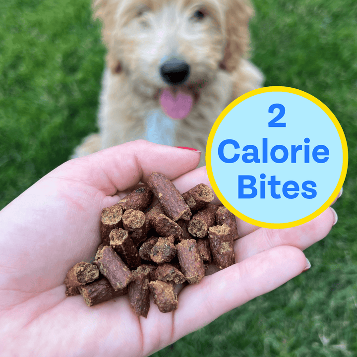 Fish Training Bites for Dogs, 2-pack
