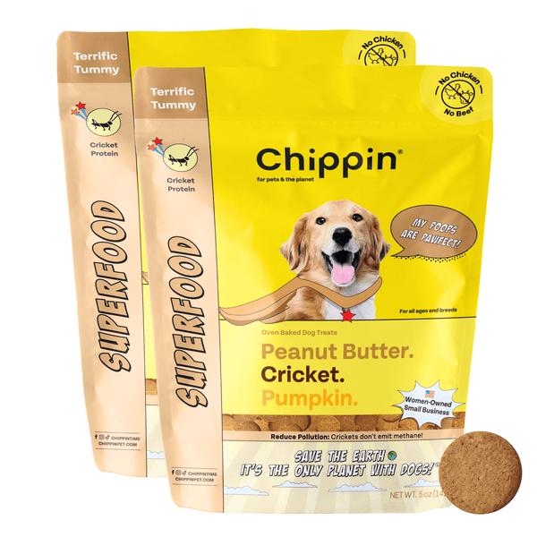 Superfood Dog Treats: Peanut Butter, Cricket, and Pumpkin, 2-pack
