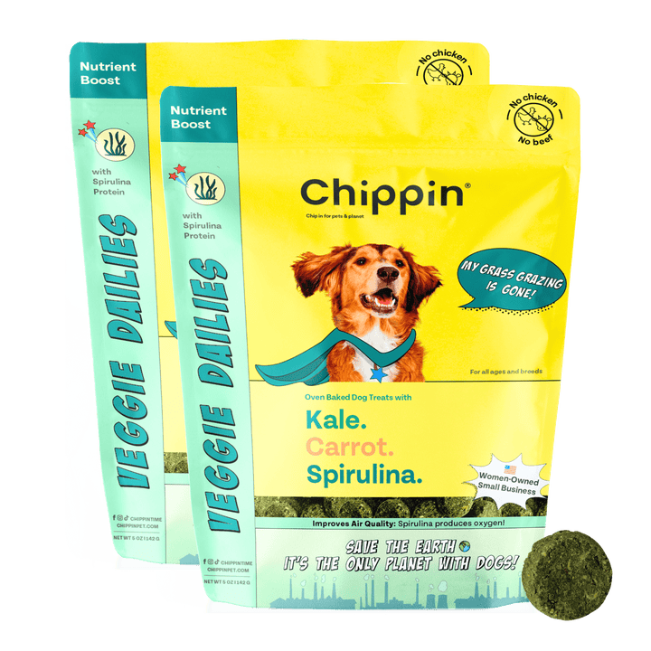 Veggie Dailies: Kale, Carrot, Spirulina- 2 pack