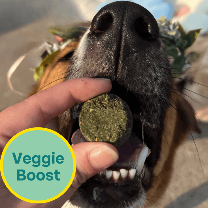 Veggie Dailies: Kale, Carrot, Spirulina- 2 pack
