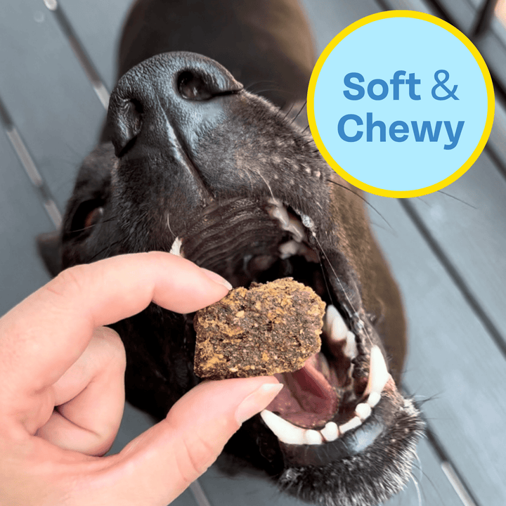 Wild-Caught Fish Jerky Dog Treats, 2-pack