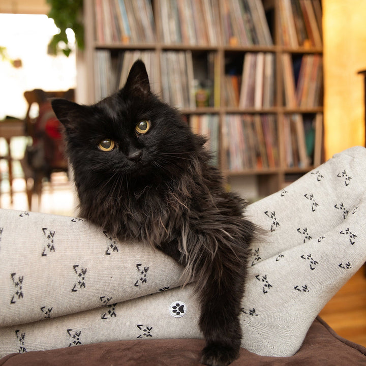 Conscious Step Socks that Save Cats