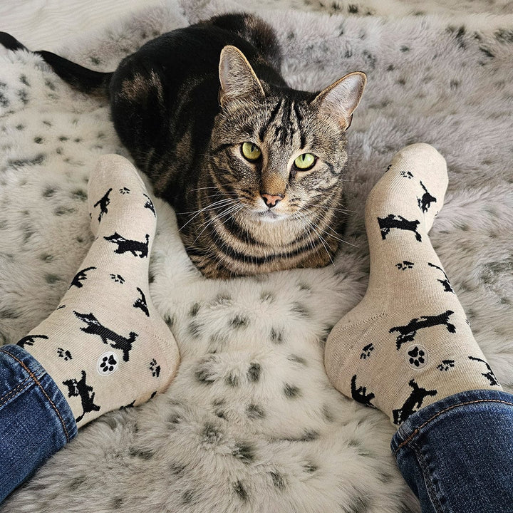 Conscious Step Socks that Save Cats
