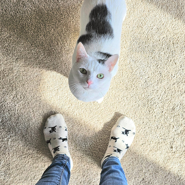 Conscious Step Socks that Save Cats