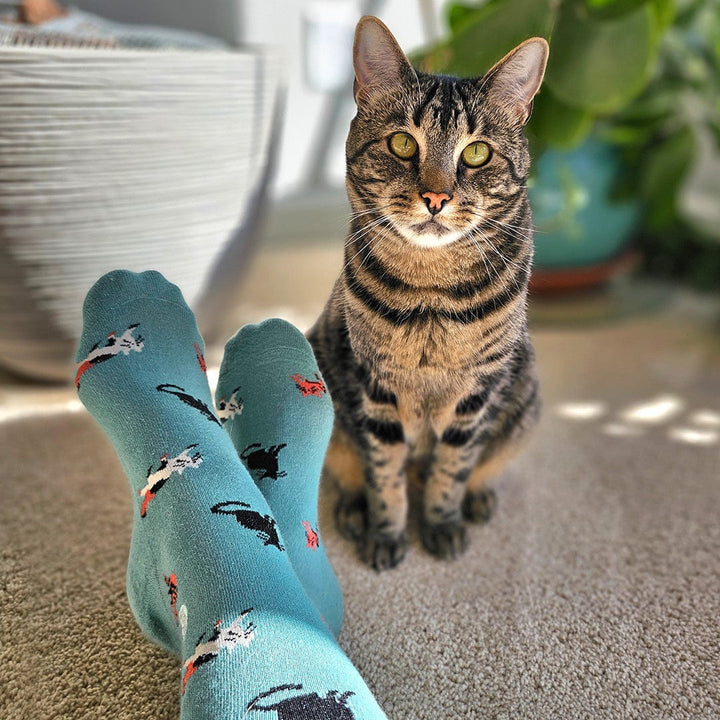 Conscious Step Socks that Save Cats