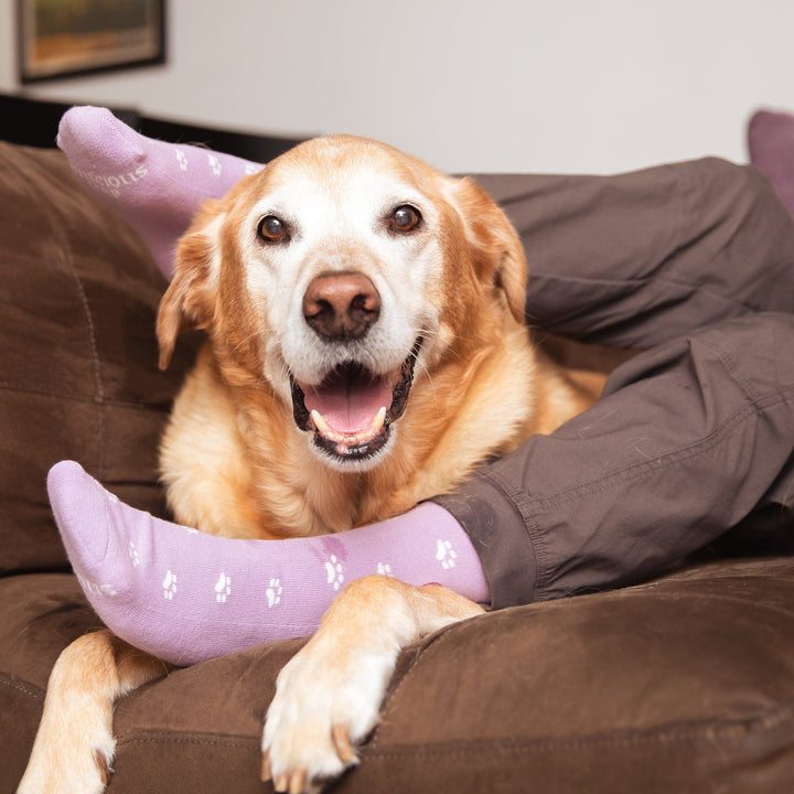 Conscious Step Socks that Save Dogs