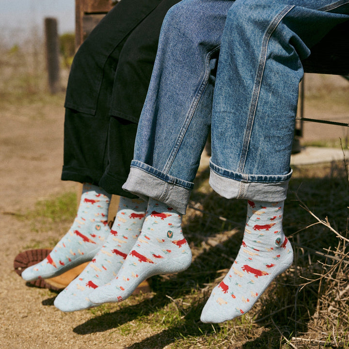 Conscious Step Socks that Save Farm Animals
