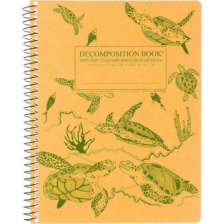 Decomposition Sea Turtles Ruled Spiral Decomposition Notebook