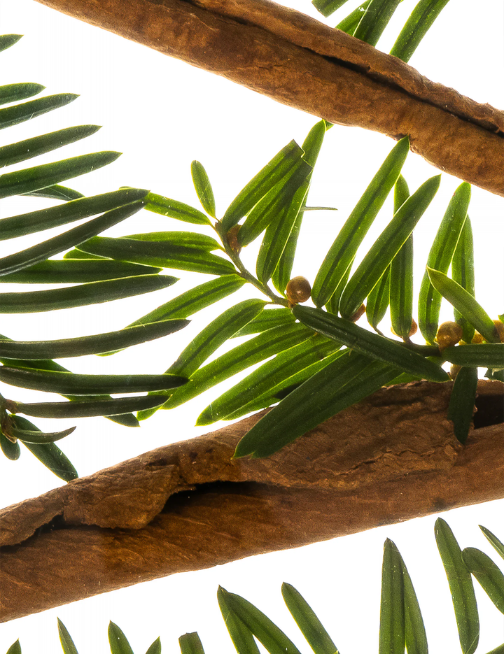 Esas Beauty Primal Hamam Deo Body Spray