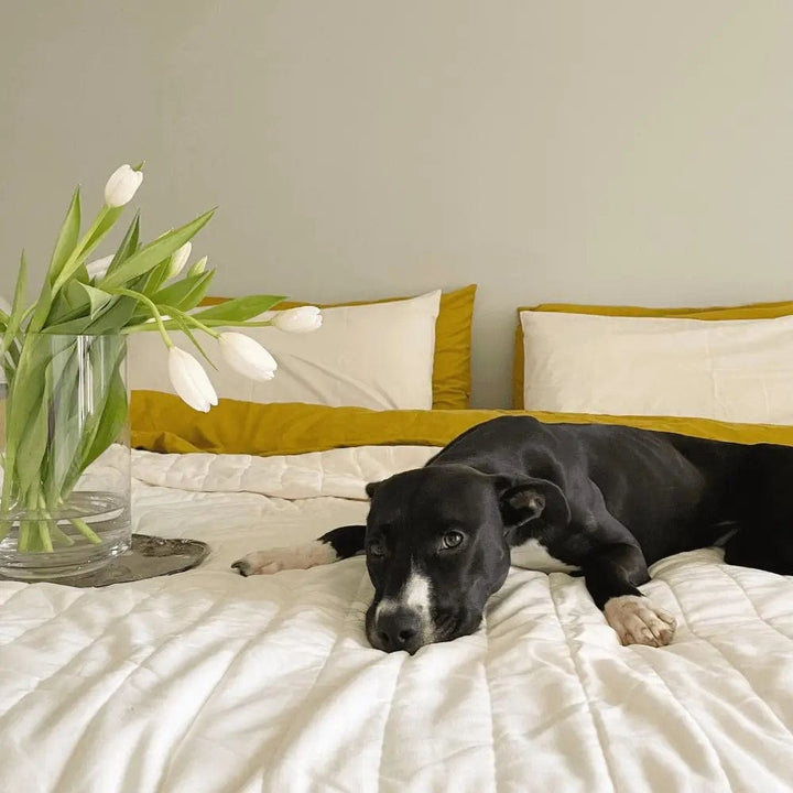 ettitude Linen+ Quilted Coverlet