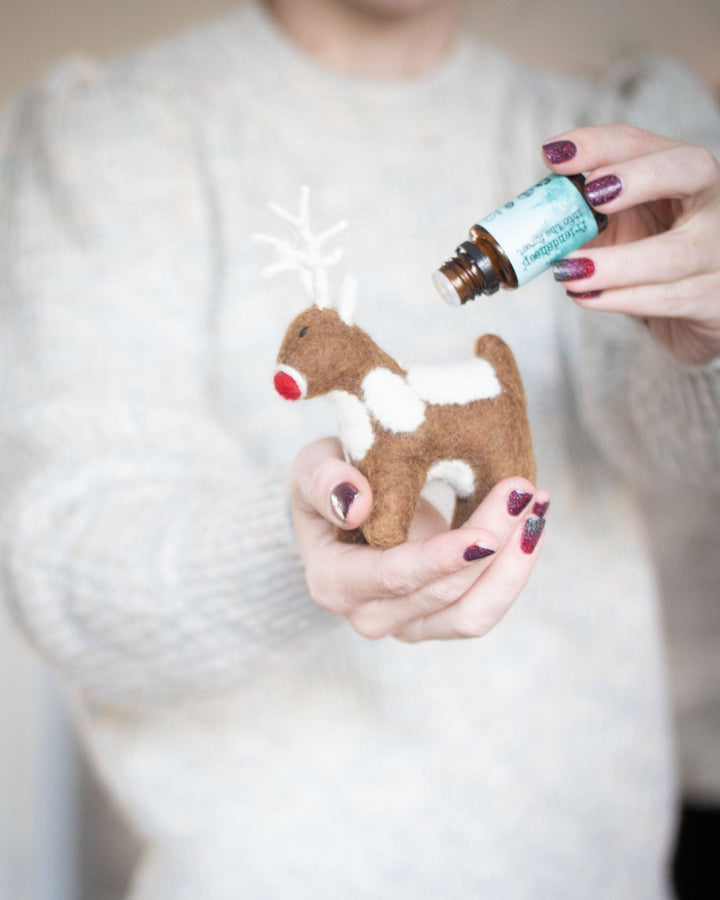 Friendsheep 1 Santa's Reindeer - Set of 2