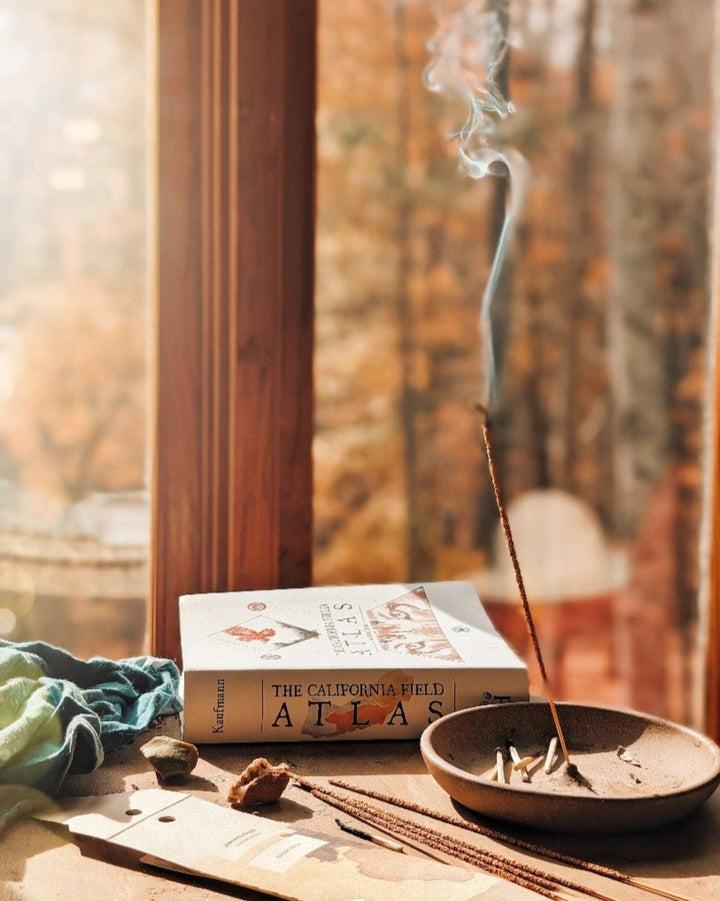 Juniper Ridge Desert Piñon Campfire Incense (20 Sticks) 3-Pack