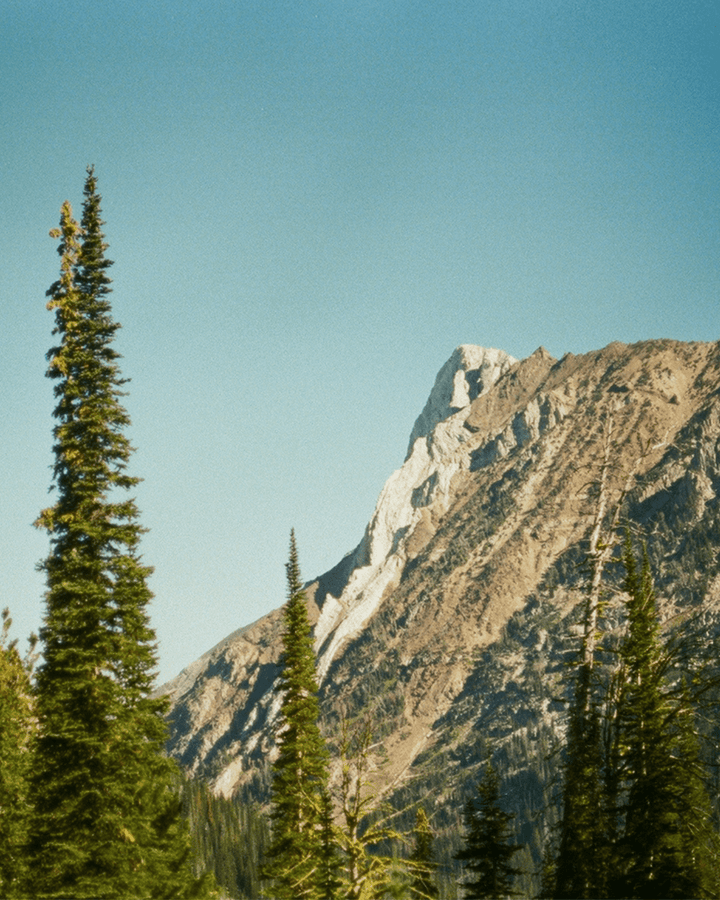 Juniper Ridge Mountain Wilderness Cologne