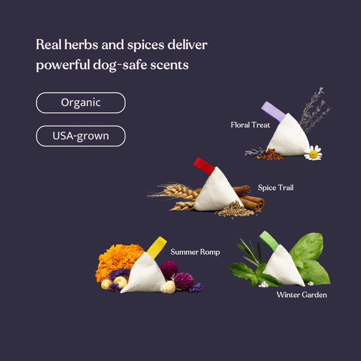 Longsock Essentials Scent Training Kit for Dogs