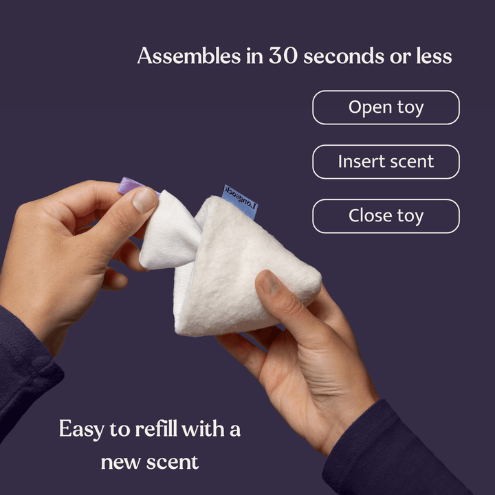 Longsock Essentials Scent Training Kit for Dogs