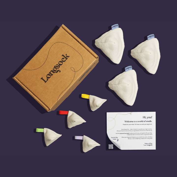 Everything Scent Training Kit for Dogs