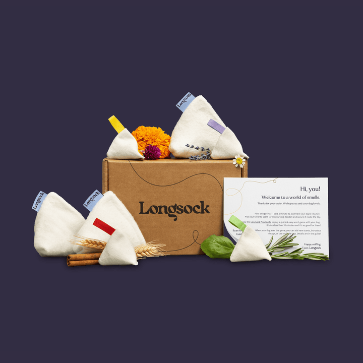 Longsock Everything Scent Training Kit for Dogs