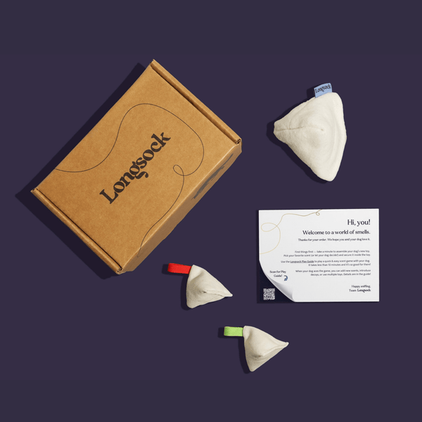 Longsock Starter Scent Training Kit for Dogs