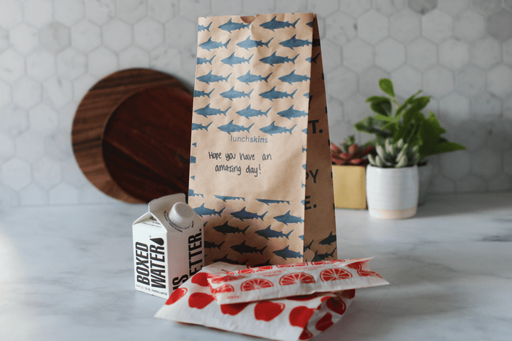Recyclable Large Lunch Sacs
