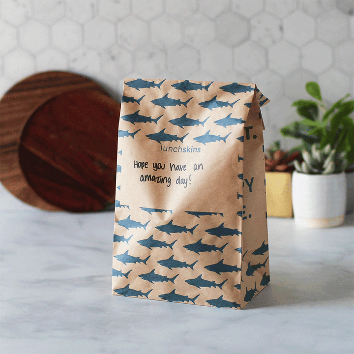 Recyclable Large Lunch Sacs