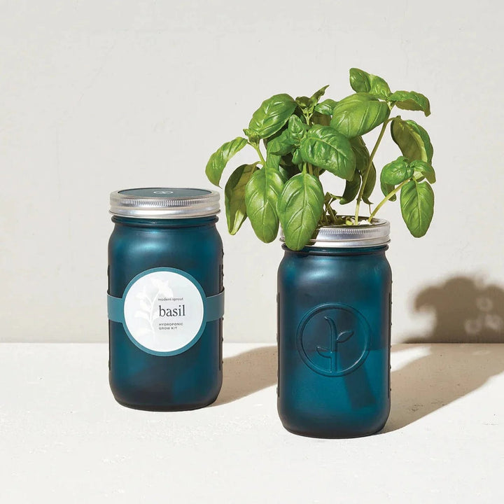 Modern Sprout Basil Herb Jar and Self-Watering Planter