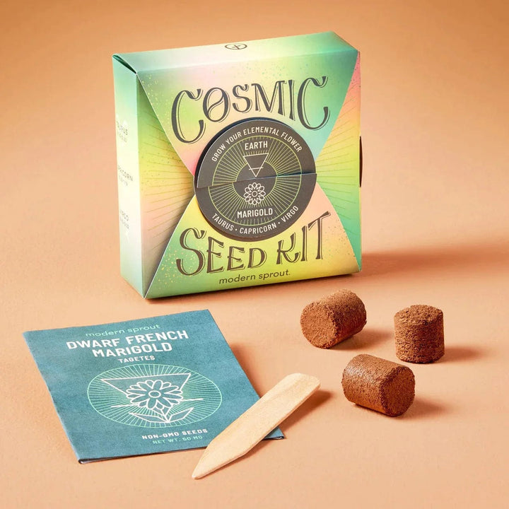 Modern Sprout Earth Cosmic Seed Kit