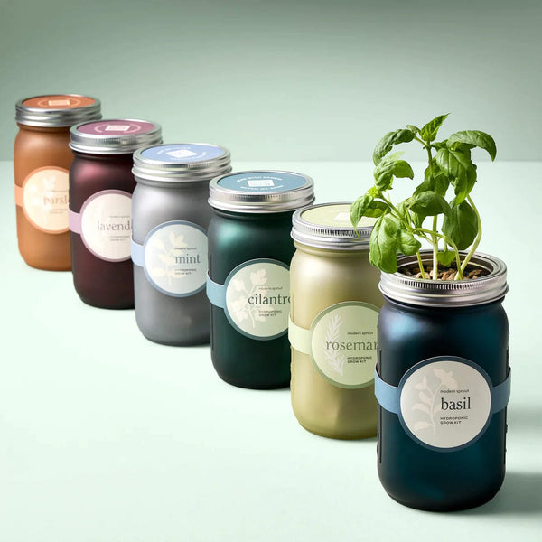 Modern Sprout Herb Jar and Self-Watering Planter