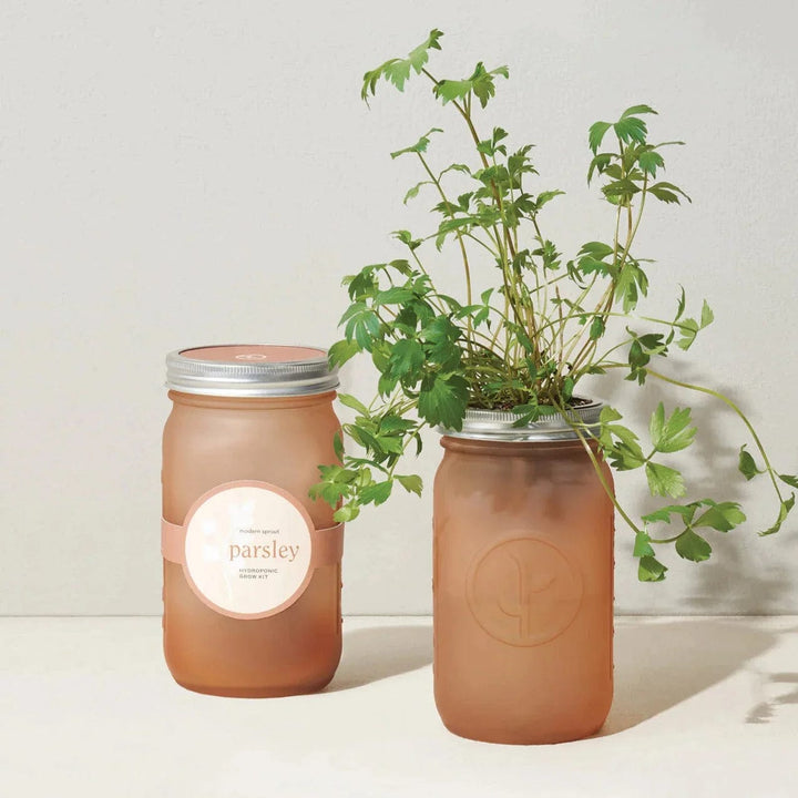 Modern Sprout Parsley Herb Jar and Self-Watering Planter