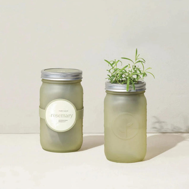 Modern Sprout Rosemary Herb Jar and Self-Watering Planter