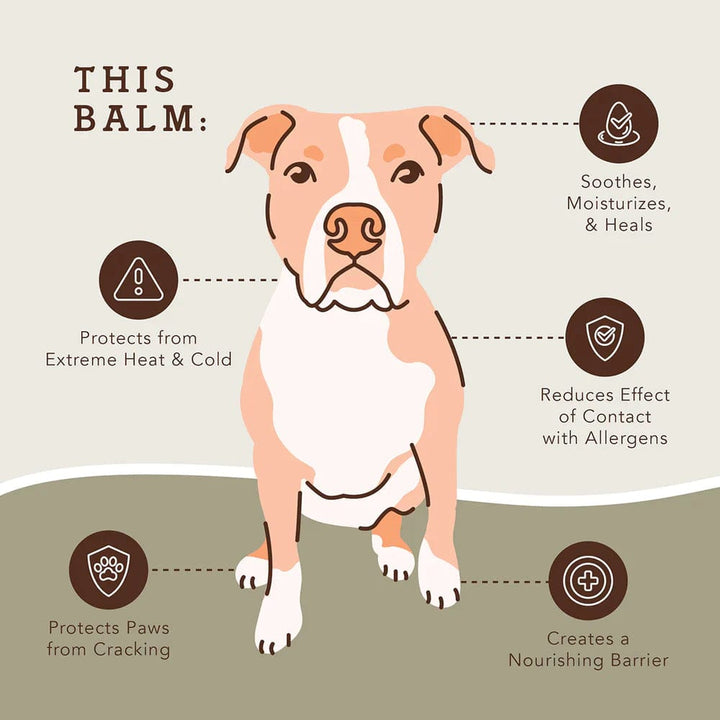Natural Dog Company Paw Protection Dog Balm
