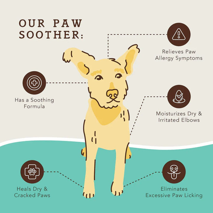 Natural Dog Company Paw Soother Dog Healing Balm