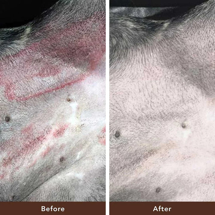 Natural Dog Company Skin Soother Dog Healing Balm
