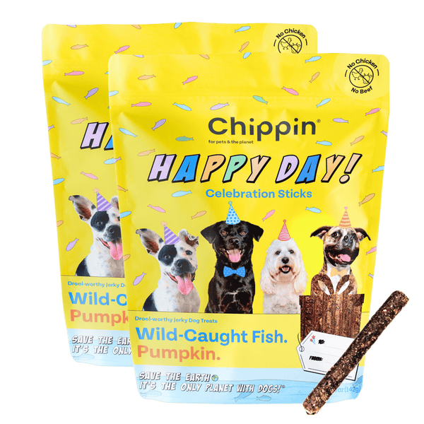 Birthday Dog Treats, 2-Pack