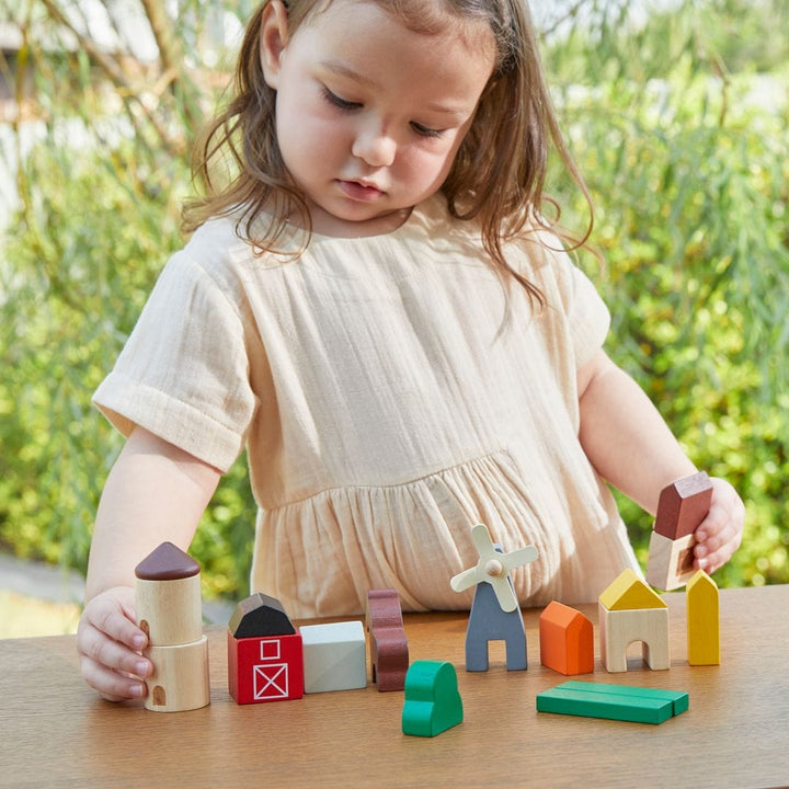 PlanToys USA Country Blocks