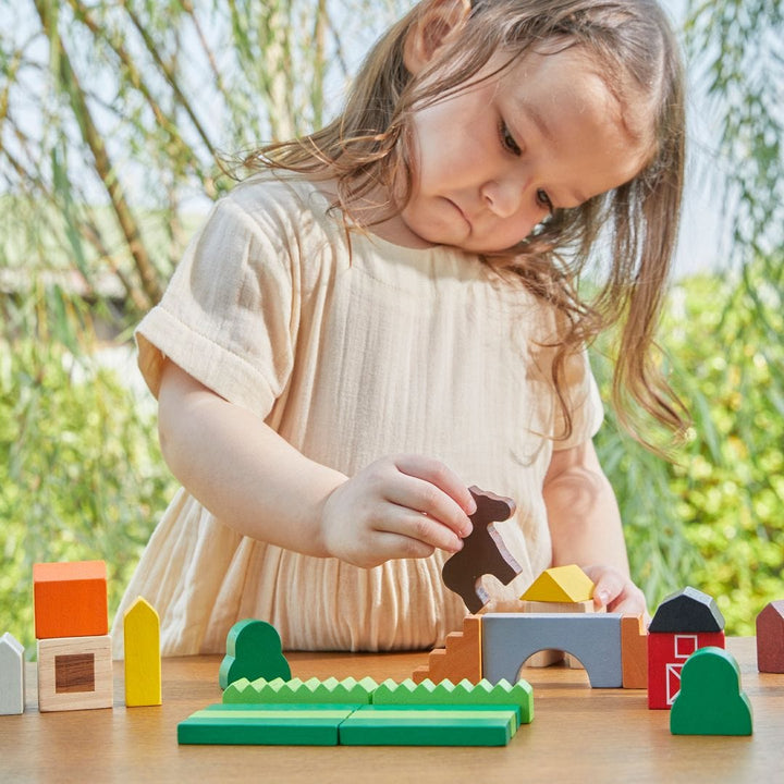 PlanToys USA Country Blocks