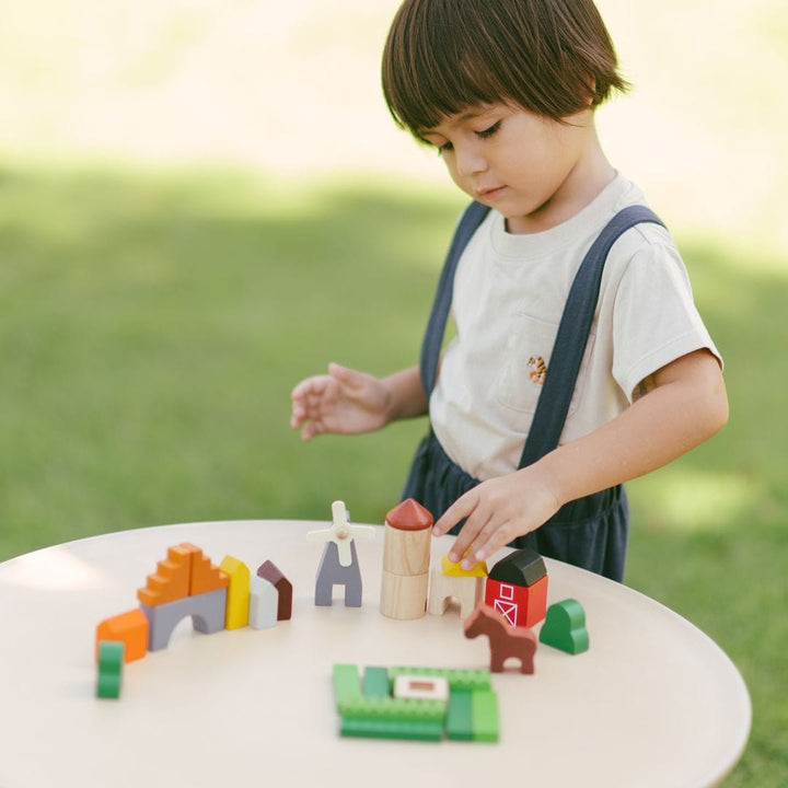 PlanToys USA Country Blocks