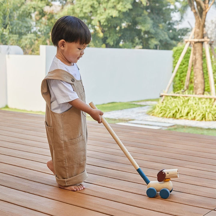 PlanToys USA Push & Pull Puppy