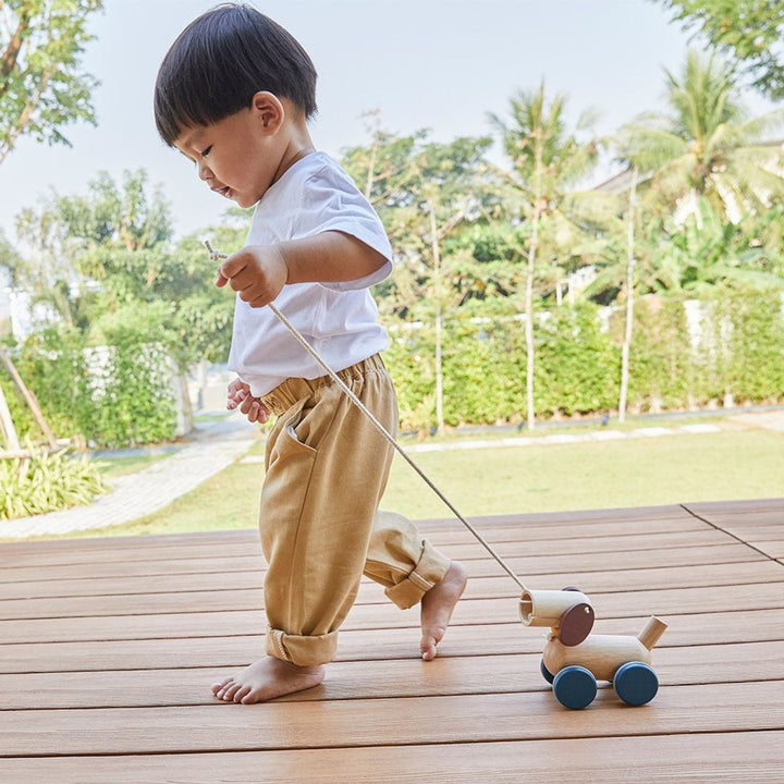 PlanToys USA Push & Pull Puppy