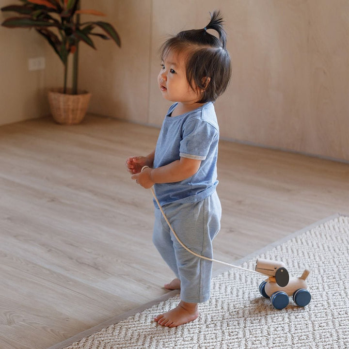 PlanToys USA Push & Pull Puppy