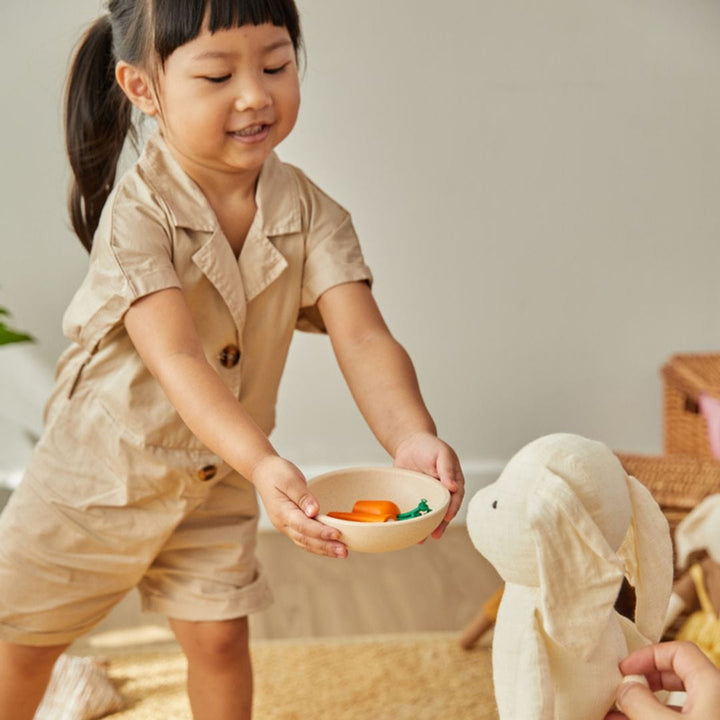 PlanToys USA Tableware Set