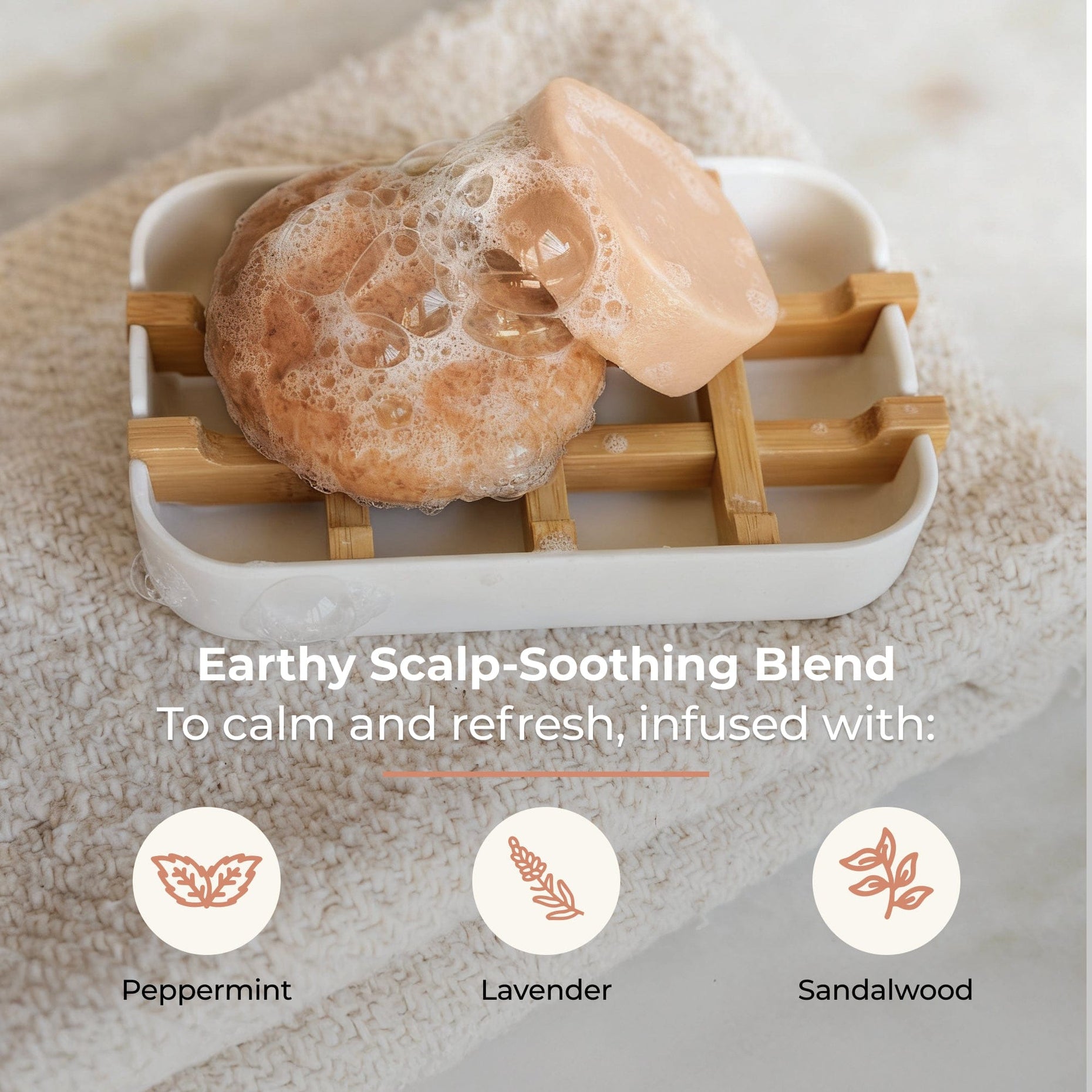 Shampoo & Conditioner Bar Duo - Driftwood