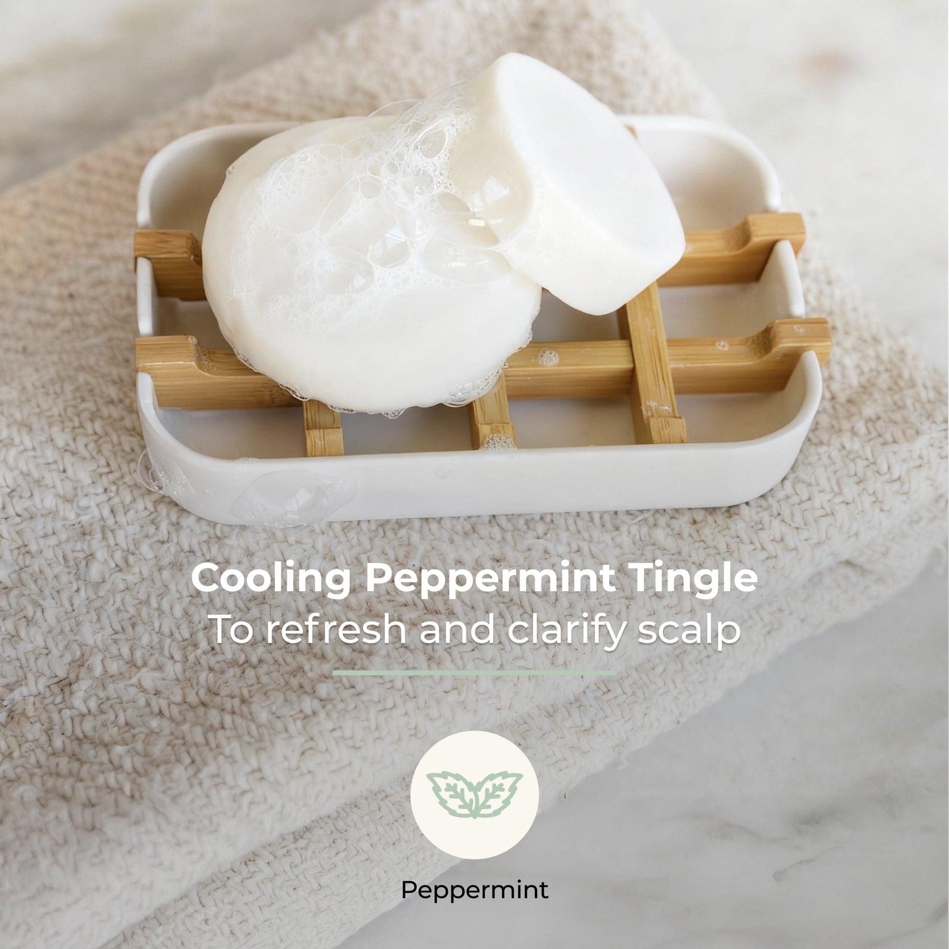 Shampoo & Conditioner Bar Duo - Peppermint Breeze